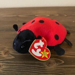 Ty Beanie Baby Lucky the Ladybug RARE
